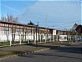 ESCUELA BLANCO ENCALADA D-928