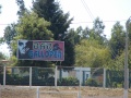 BAR GALLOPER