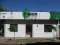 PLAGUISUR